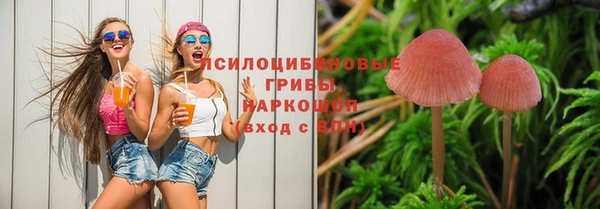 спиды Баксан