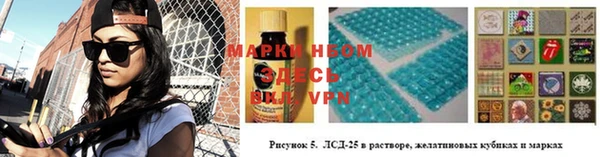 индика Балахна