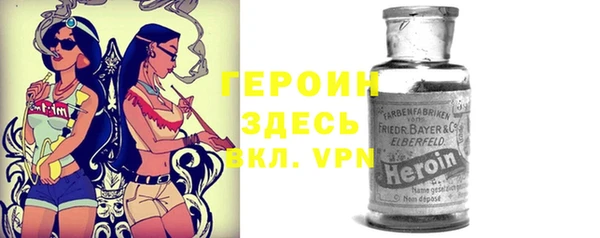 индика Балахна