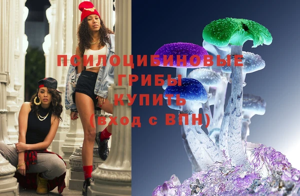 прущие грибы Балабаново