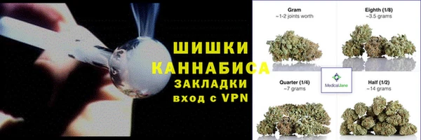 прущие грибы Балабаново