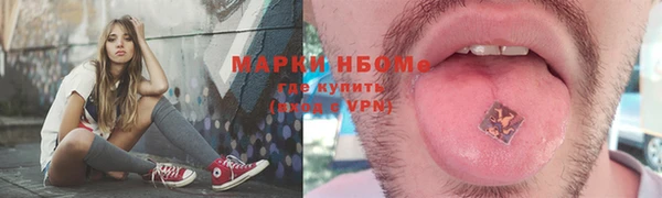 прущие грибы Балабаново