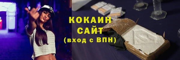 прущие грибы Балабаново