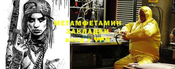 прущие грибы Балабаново