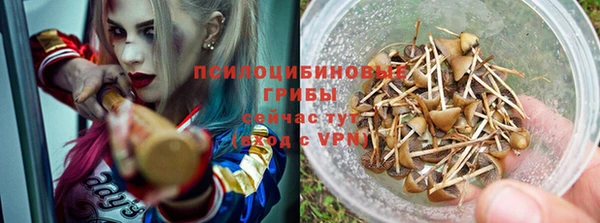 спиды Баксан