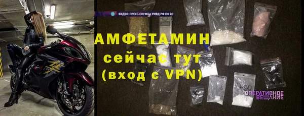прущие грибы Балабаново