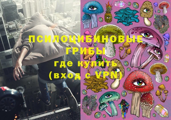 индика Балахна