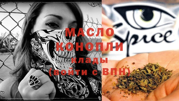 индика Балахна