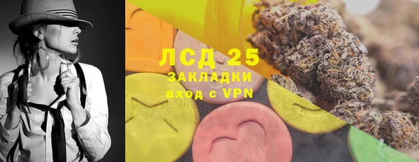 индика Балахна