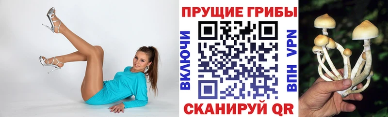 Галлюциногенные грибы Psilocybine cubensis mega ССЫЛКА Усть-Джегута
